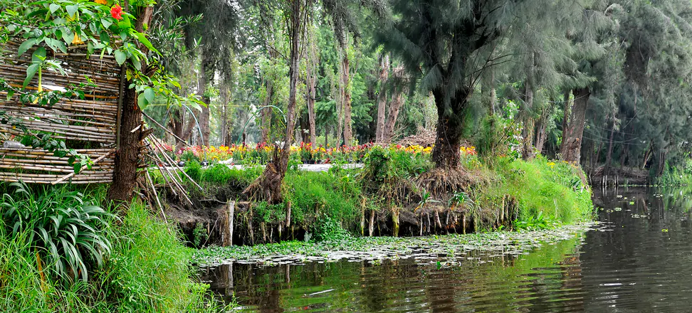 chinampas