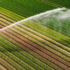 How to feed 10 billion people? On the management of water resources in agriculture zarządzanie wodą w rolnictwie